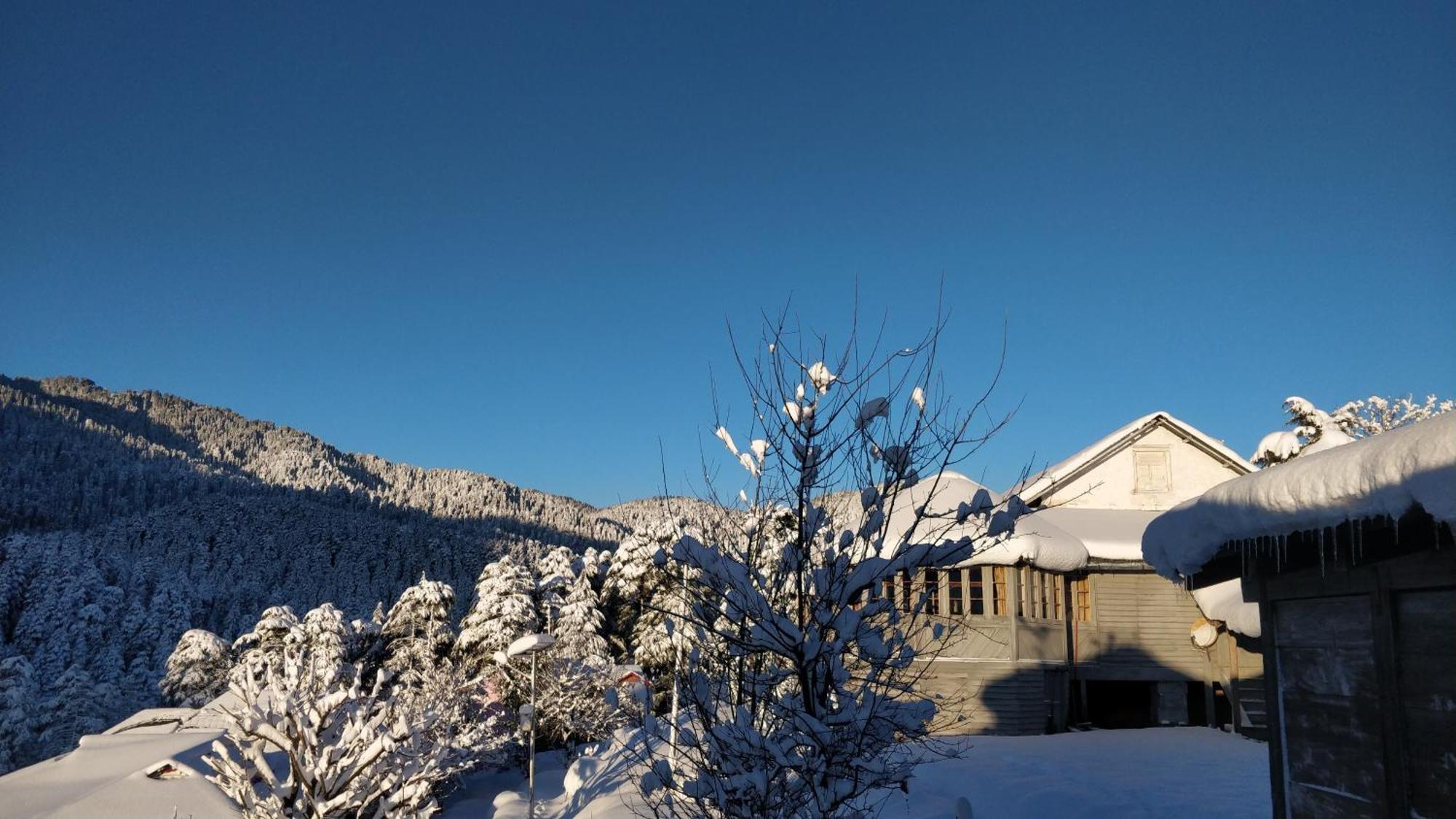 Black Bear Cottage Khajjiar Exterior photo